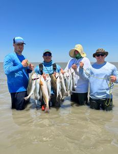 3 redfish caught in Matagorda, Texas during fishing trip