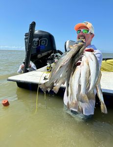 Three spotted weakfish caught in Matagorda, Texas