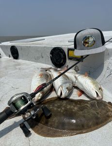 Three fish caught in Matagorda while fishing