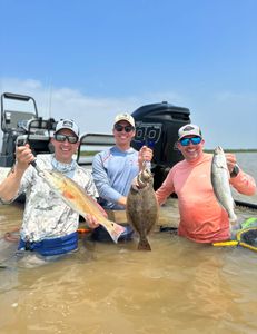 Spotted Weakfish and Summer Flounder caught in TX