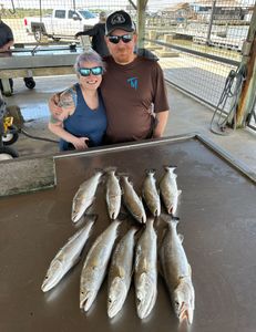 8 spotted weakfish caught fishing in TX