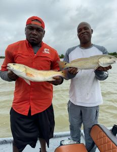 Two redfish caught in Matagorda