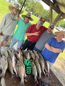 Lake Texoma’s best striper fishing starts here.