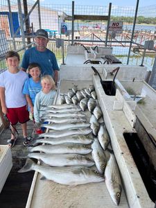 Three striped bass caught by four people in Kingston