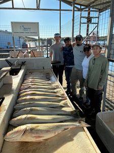 5 people fishing in Kingston