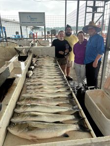 4 friends fishing in Kingston