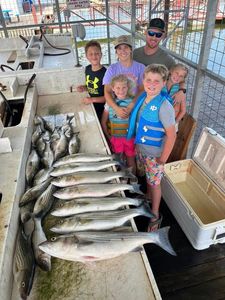Great fishing trip in Kingston with 4 large fish caught