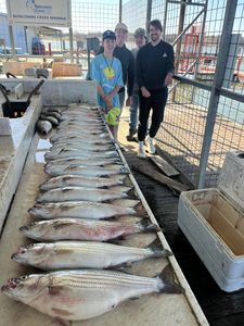 3 striped bass caught while fishing in OK