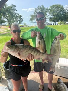 Two striped bass and wiper (hybrid striped bass) fish caught in OK