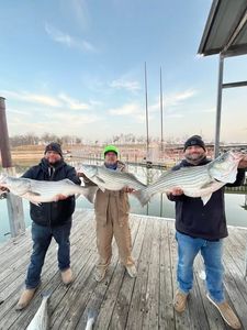 Two striped bass caught by three people in OK