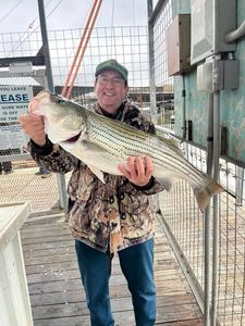 Striped bass caught while fishing in OK