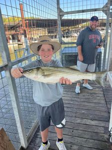 Striped bass, 27 inches, caught while fishing in Kingston