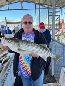 Striped Bass caught while fishing in OK