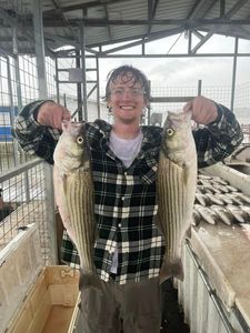 Two striped bass caught by a person in OK