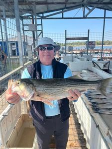 Striped Bass fishing in OK