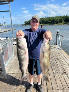Two striped bass caught while fishing in OK