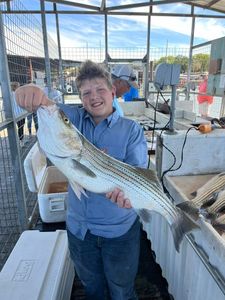 Striped bass caught in OK while fishing