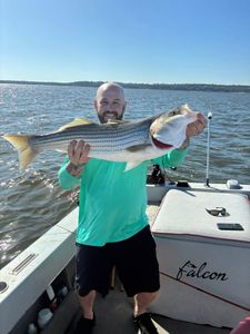 Striped bass caught while fishing in Kingston