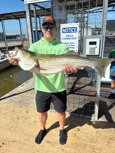 Striped bass caught fishing in Kingston