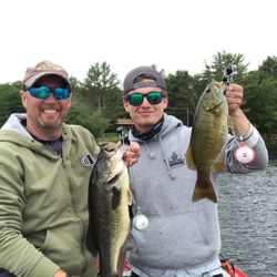 Two smallmouth bass caught by anglers in Epping