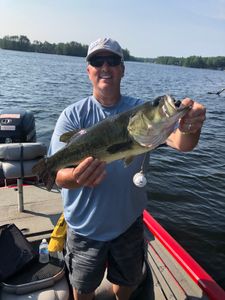 Largemouth bass caught in NH
