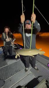 Fish-Species