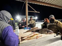 Fish-Species