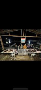 Night Bowfishing in Lafitte