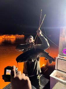Lafitte Waters, Big Shots