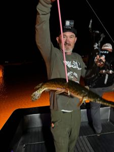 Fish-Species