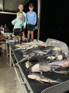 Three black drum and white catfish, fishing in LA