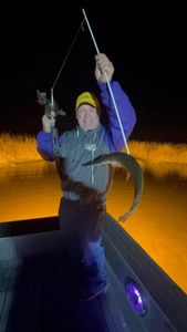 One person fishing in LA