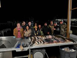 A group of 11 people fishing in LA