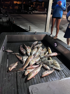 Two fish caught in Lafitte