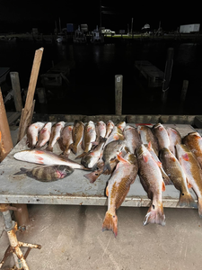 6 sheepshead and redfish caught fishing in LA
