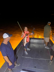 Redfish caught in Lafitte