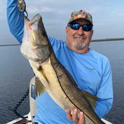 Snook-ing for more? Got to catch them all!