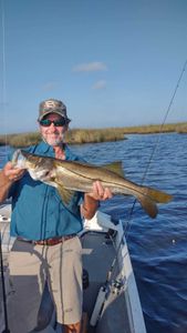 Snook sniped on the waters of Florida.