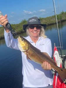 one angler fishing at brooksville