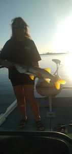 Snook fishing in Brooksville
