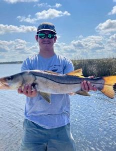 Snook caught fishing in Brooksville