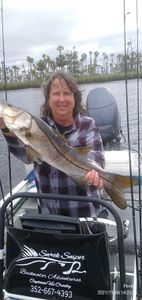 Photo of a snook fish caught in Brooksville