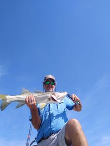 Snook, a 29-inch fish, caught in Brooksville