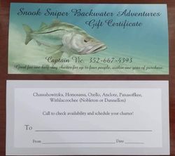 Snook fish in Florida