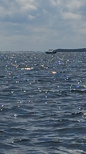 Partly cloudy skies set the stage for an epic bow fishing adventure!