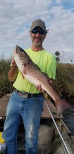Best Redfish dinner is caught fresh inshore