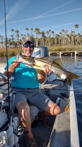 A fisherman holding a large snook in Brooksville