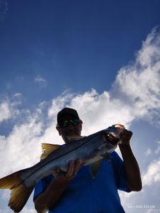 Angler fishing in FL