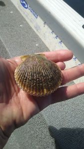 A fishing trip in FL