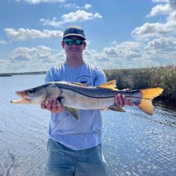 A lone angler fishing in Brooksville
